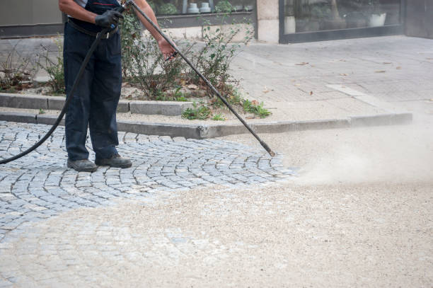 Best Gutter Cleaning  in , WV